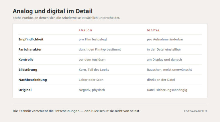 Grafik zum Thema digital vs analog
